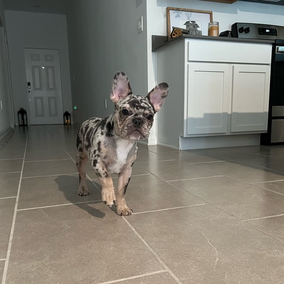 Hello, I’m Dawn - Picture 3 of 6